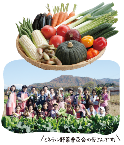 ミネラル野菜